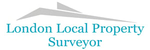 London Local Property Surveyor banner