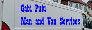 Gabi Puiu Man and Van Services