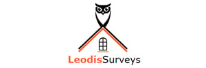 Leodis Surveys