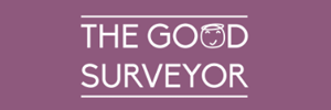 The Good Surveyor Ltd