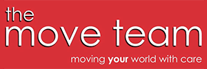 The Move Team  banner