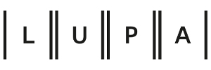 Lupa Surveying  banner